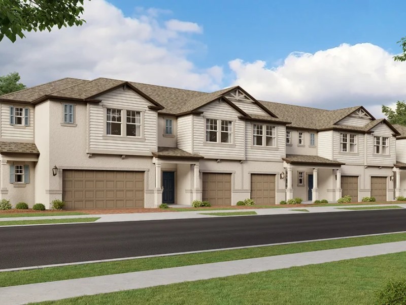 20421 Rose Cottage Way - Florida - Land O Lakes - 34637