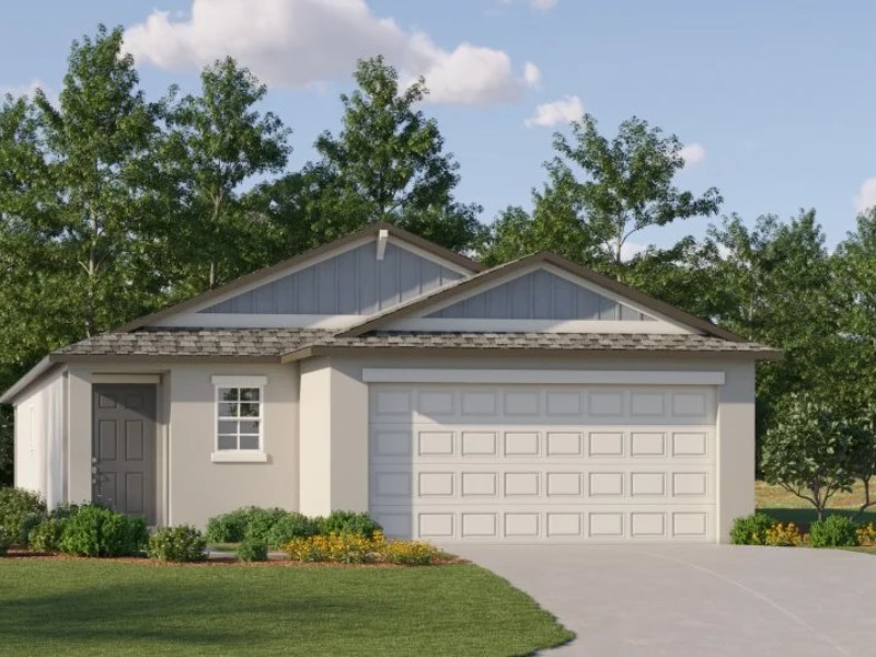 20421 Rose Cottage Way - Florida - Land O Lakes - 34637