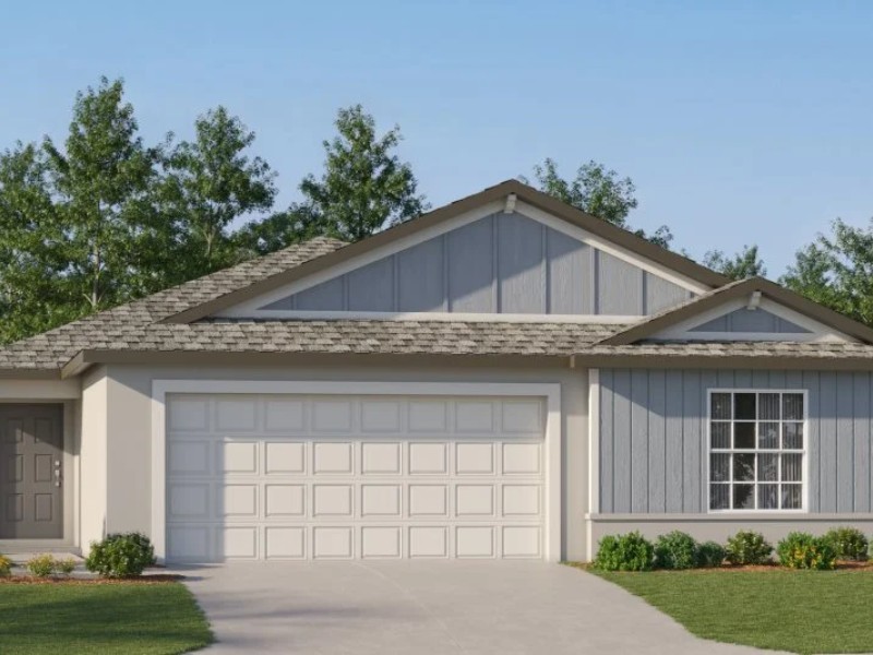 20421 Rose Cottage Way - Florida - Land O Lakes - 34637
