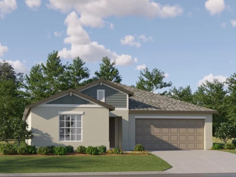 20421 Rose Cottage Way - Florida - Land O Lakes - 34637