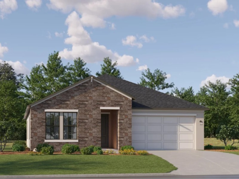 20421 Rose Cottage Way - Florida - Land O Lakes - 34637