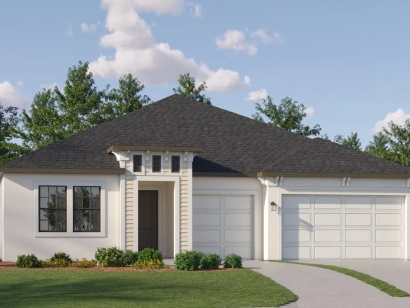 20421 Rose Cottage Way - Florida - Land O Lakes - 34637