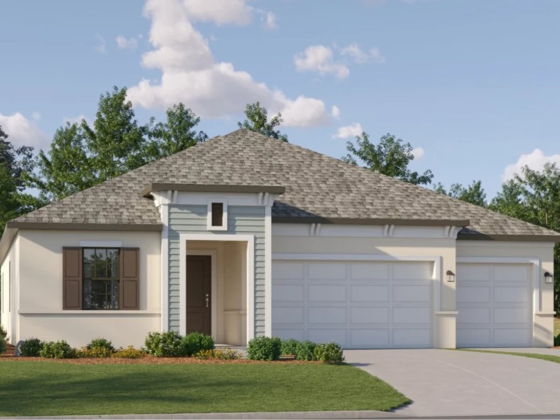 20421 Rose Cottage Way - Florida - Land O Lakes - 34637