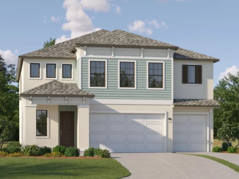 20421 Rose Cottage Way - Florida - Land O Lakes - 34637