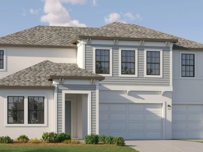 20421 Rose Cottage Way - Florida - Land O Lakes - 34637