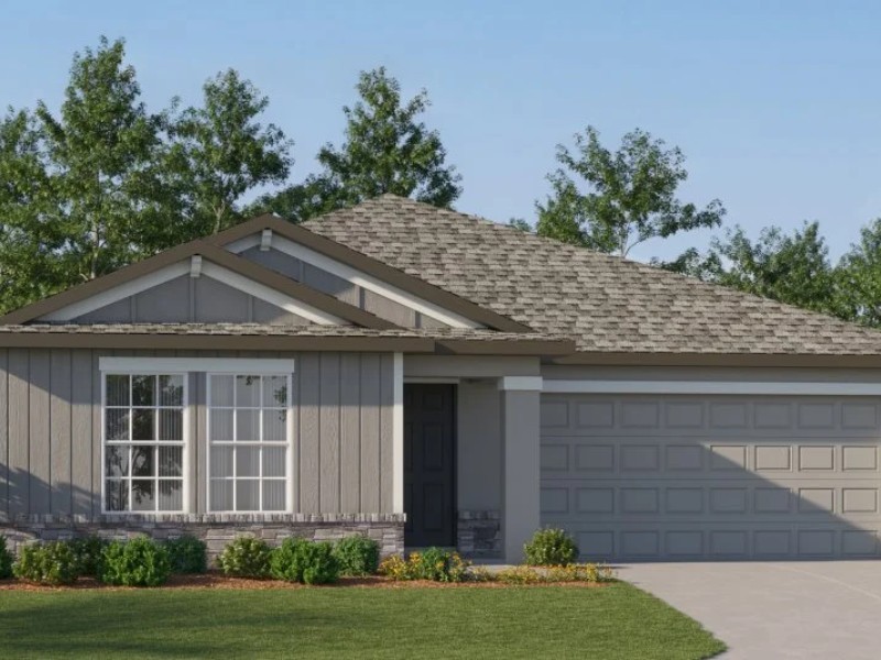 20421 Rose Cottage Way - Florida - Land O Lakes - 34637