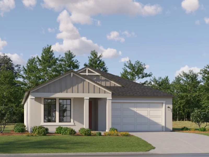 20421 Rose Cottage Way - Florida - Land O Lakes - 34637